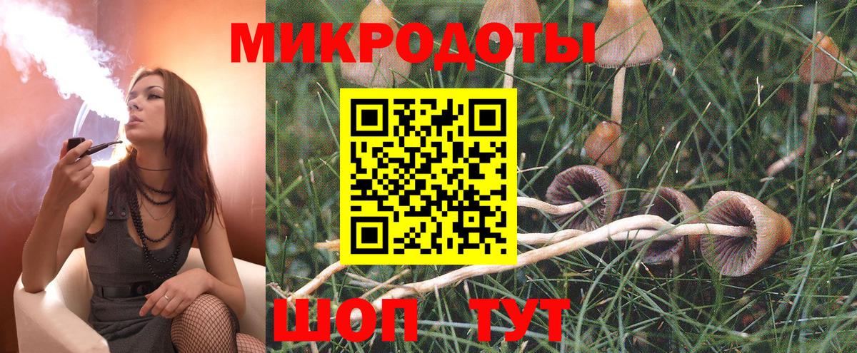 Галлюциногенные грибы MAGIC MUSHROOMS  купить   Краснокаменск  Вход с VPN 