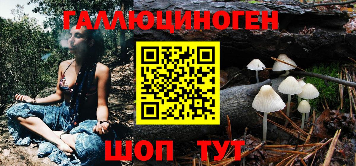 Псилоцибиновые грибы прущие грибы Краснокаменск